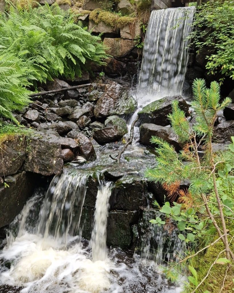 Blomdalen – Skyddat boende med trygghet och kvalitet 4090