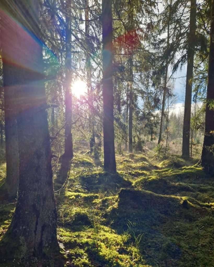 Blomdalen – Skyddat boende med trygghet och kvalitet 4094