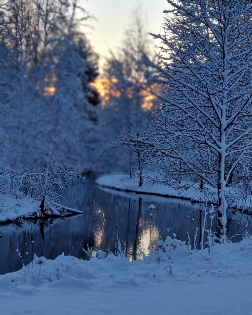 Blomdalen – Skyddat boende med trygghet och kvalitet 4101