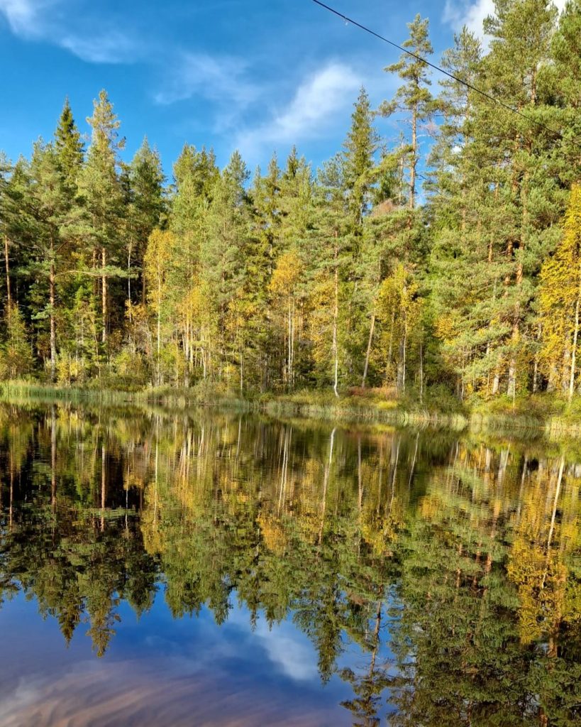 Blomdalen – Skyddat boende med trygghet och kvalitet 4104