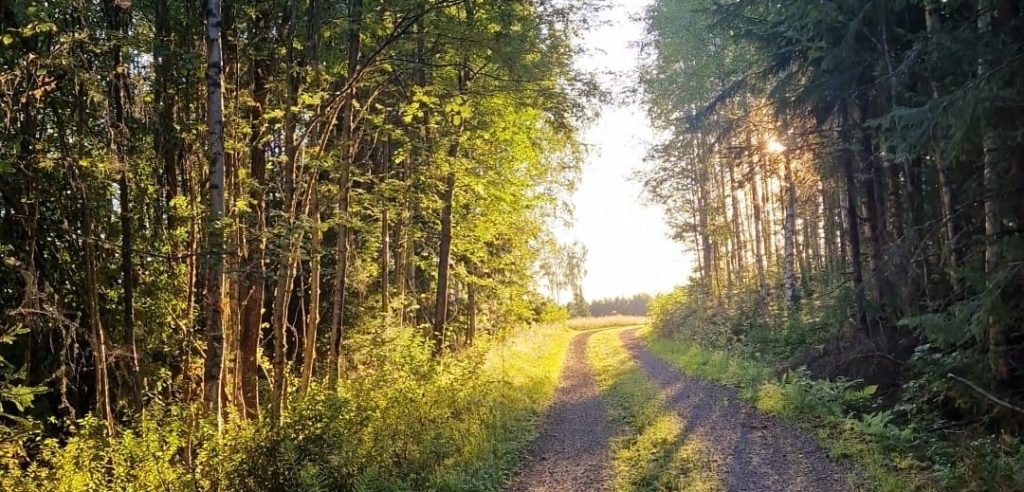 Blomdalen – Skyddat boende med trygghet och kvalitet IMG 4097 2 1024x492